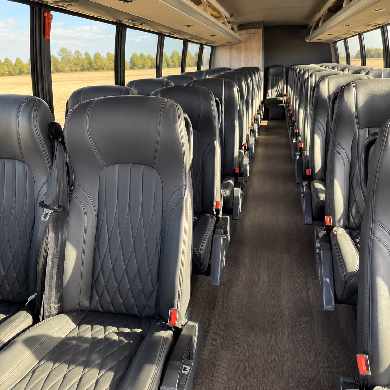asheville get your team and fan group ready for game day with an asheville bus rental