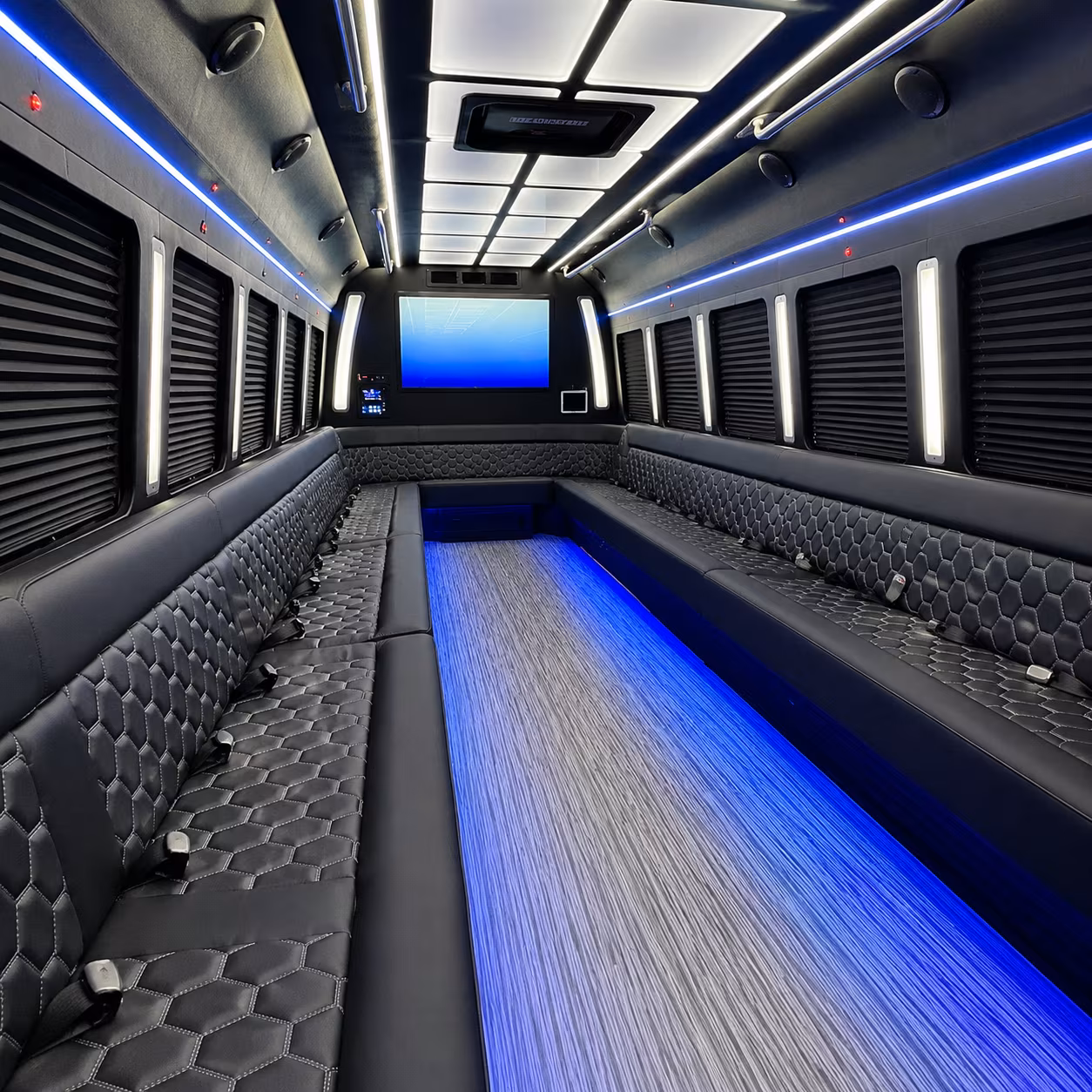 hickory 50 passenger party bus inside