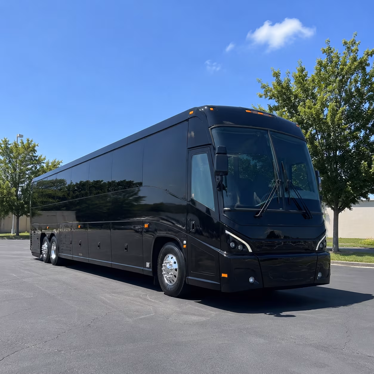 raleigh travel on your schedule with raleigh long distance charter bus rentals